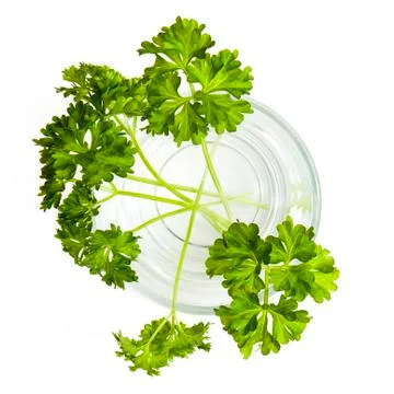 Fresh parsley Foto stock