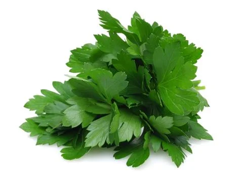 Fresh parsley Stock Photos