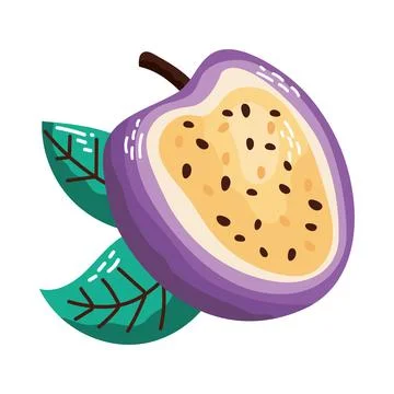 Fresh passion fruit slice Stock Illustration