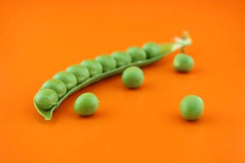 Fresh pea Stock Photos