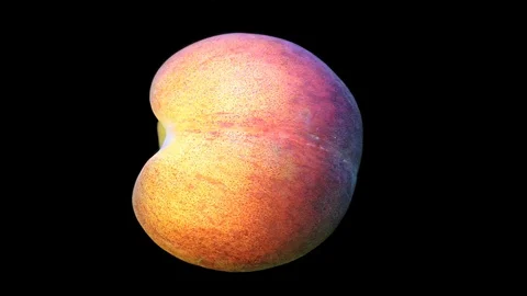 Fresh Peach on Black Background – close up, detail Stock Footage 91705068
