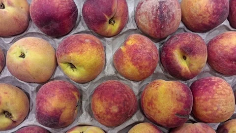 Fresh Peach in the Box Stock Footage 328657579