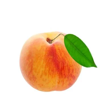 Fresh peach Stock Photos