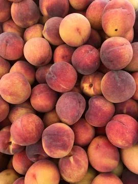 Fresh peaches background Stock Photos