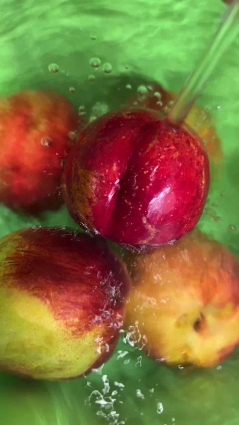 Fresh peaches being washed with water in green bowl 4K Stock Footage 345053258