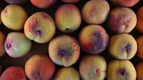 Fresh Peaches In A Box. Slider Shot. Video stock 295035239