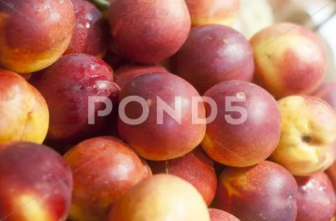 Fresh peaches on display Stock Photos