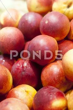 Fresh peaches on display Stock Photos