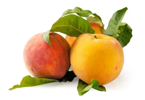 Fresh Peaches with leaf isolated on white Stock Photos