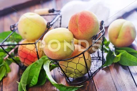 Fresh peaches Stock Photos