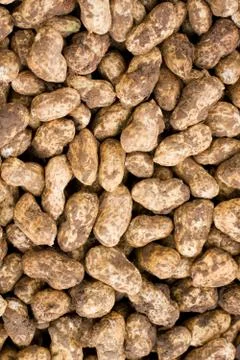 Fresh peanut background Stock Photos