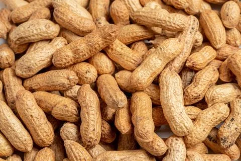 Fresh peanut nuts in shell background Фото