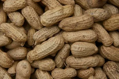 Fresh peanuts in a market of Trujillo-PERU Stock Photos