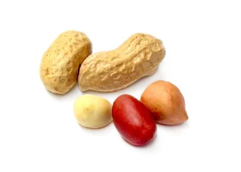 Fresh Peanuts Stock Photos