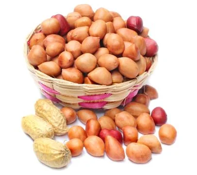 Fresh Peanuts with seeds Stock Photos