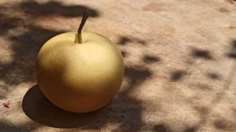 Fresh Pear Fruit Stock Footage 255041761
