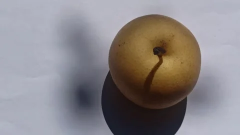 Fresh Pear Fruit Video stock 255043199