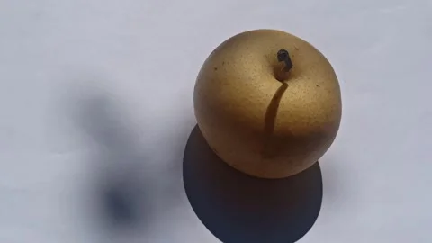 Fresh Pear Fruit Video stock 255043263