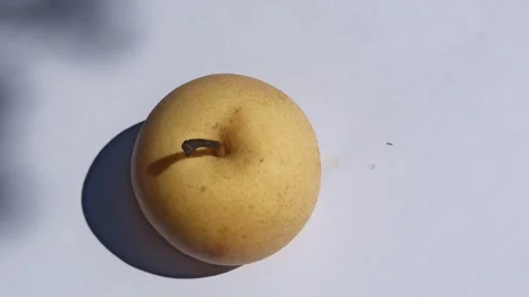 Fresh Pear Fruit Video stock 255043264