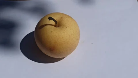 Fresh Pear Fruit Stock-Footage 255043288