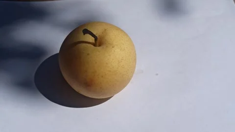Fresh Pear Fruit Video stock 255043408