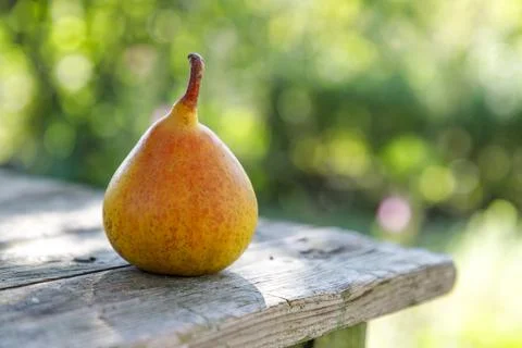 Fresh pear Stock Photos
