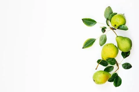 Fresh pears with leaves. Stock Photos