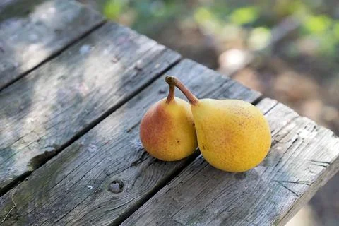 Fresh pears Stock Photos