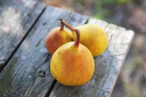 Fresh pears Stock Photos