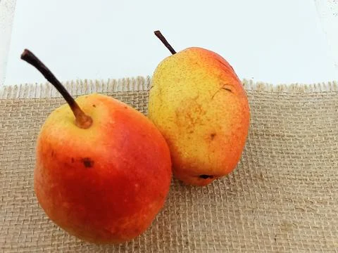Fresh Pears on Rustic Burlap Background Stock Photos