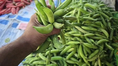 Fresh peas falling hands super slow motion 1000fps Stock Footage 265537244