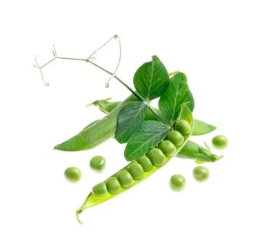 Fresh peas on isolated white background Stock Photos