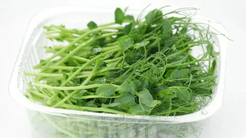 Fresh peas micro greens in container for delivery or sale, rotate Video stock 150260852
