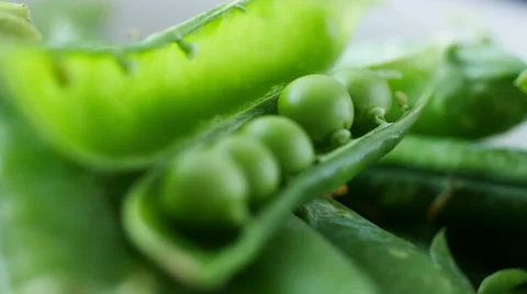 Fresh peas in pod, rack focus Stock Footage 53262985