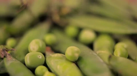 Fresh peas. Rack focus Stock Footage 61215239