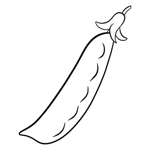 Fresh peas. Vegetable ingredient for the kitchen. Line style. Stock Illustration