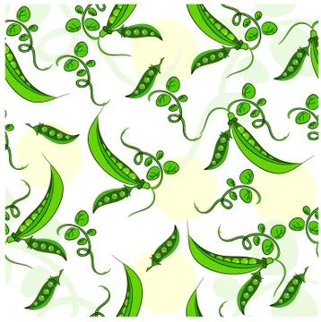 Fresh peas on a white background. Vector illustration, seamless Stock Illustration