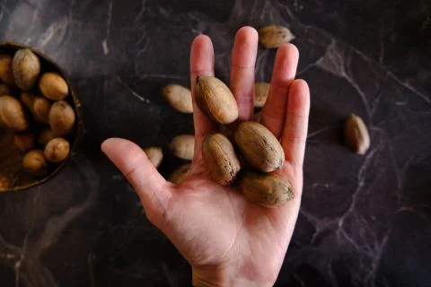 Fresh Pecan Nuts with husks Stock Photos
