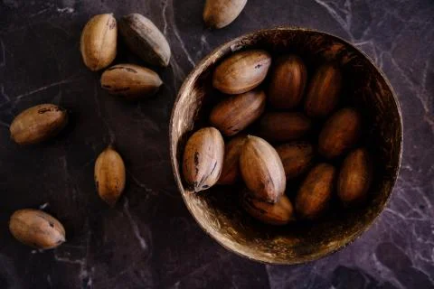 Fresh Pecan Nuts with husks Stock Photos