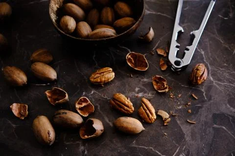 Fresh Pecan Nuts with husks Stock Photos