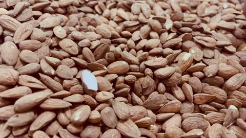 Fresh peeled almonds in a large pile, horizontal view Stock Footage 345156439