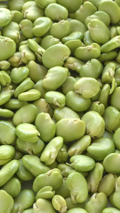 Fresh, peeled broad beans  background. Vertical video. Video stock 329442495