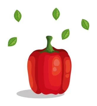 Fresh pepper vegetable with leafs イラスト素材