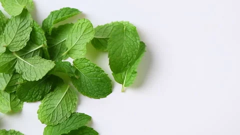 Fresh peppermint fall down isolated on white background. Stock Footage 304893142