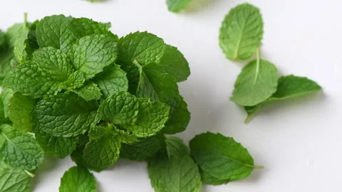Fresh peppermint fall down on white background. Video stock 304893167
