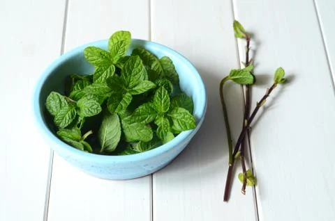 Fresh peppermint leaves Stock Photos