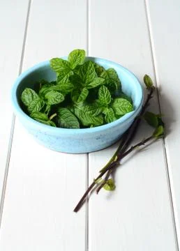 Fresh peppermint leaves Stock Photos