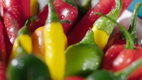 Fresh Peppers Stock Footage 102177643