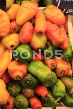 Fresh peppers Stock Photos
