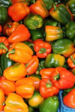 Fresh peppers Stock Photos